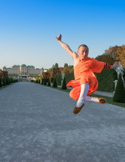 Shaolin Wushu Austria Vienna Kung Fu