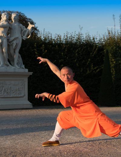 Shaolin Wushu Austria Vienna Kung Fu