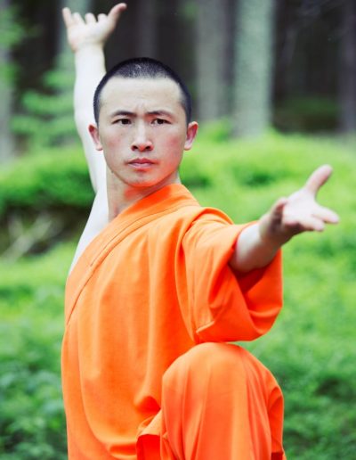 Shaolin Wushu Austria Vienna Kung Fu