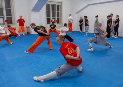 Shaolin Wushu Kung Fu Training Wien