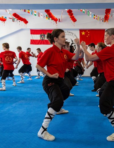 Kung Fu Wien Shaolin Wushu Training Center