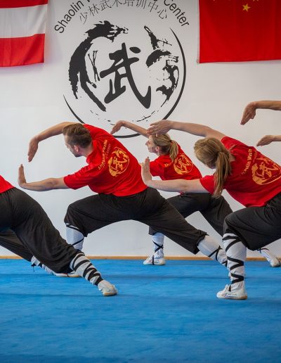 Kung Fu Wien Shaolin Wushu Training Center