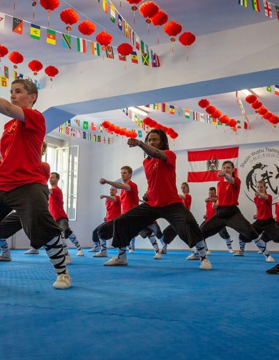 Kung Fu Wien Shaolin Wushu Training Center